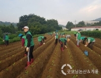 기사이미지