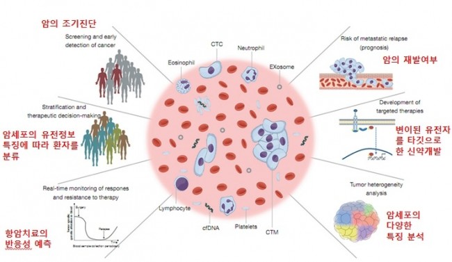 혈중암세포 기반 유전자 검사 기술의 적용 범위