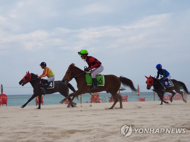 곽지해수욕장서 열린 제주마 해변경주