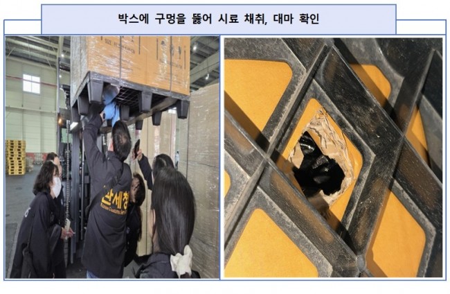 밀수된 대마를 확인하는 관세청 직원들