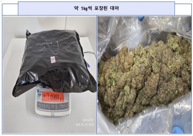 밀수된 대마