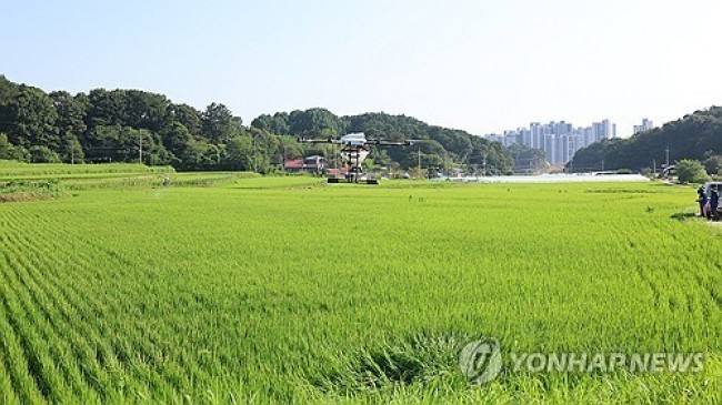 농약도 드론으로 살포